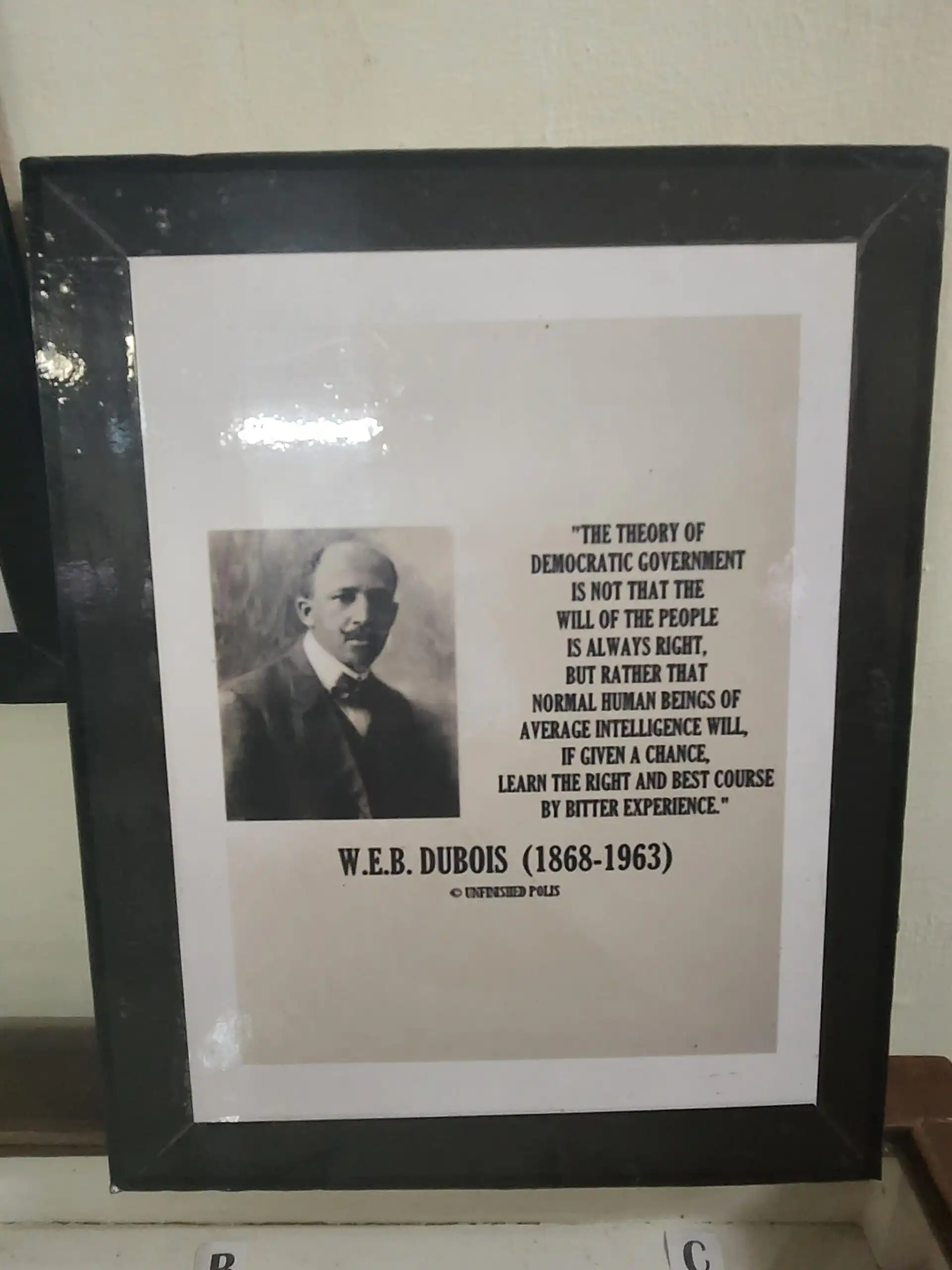 W.E.B. Du Bois quote framed