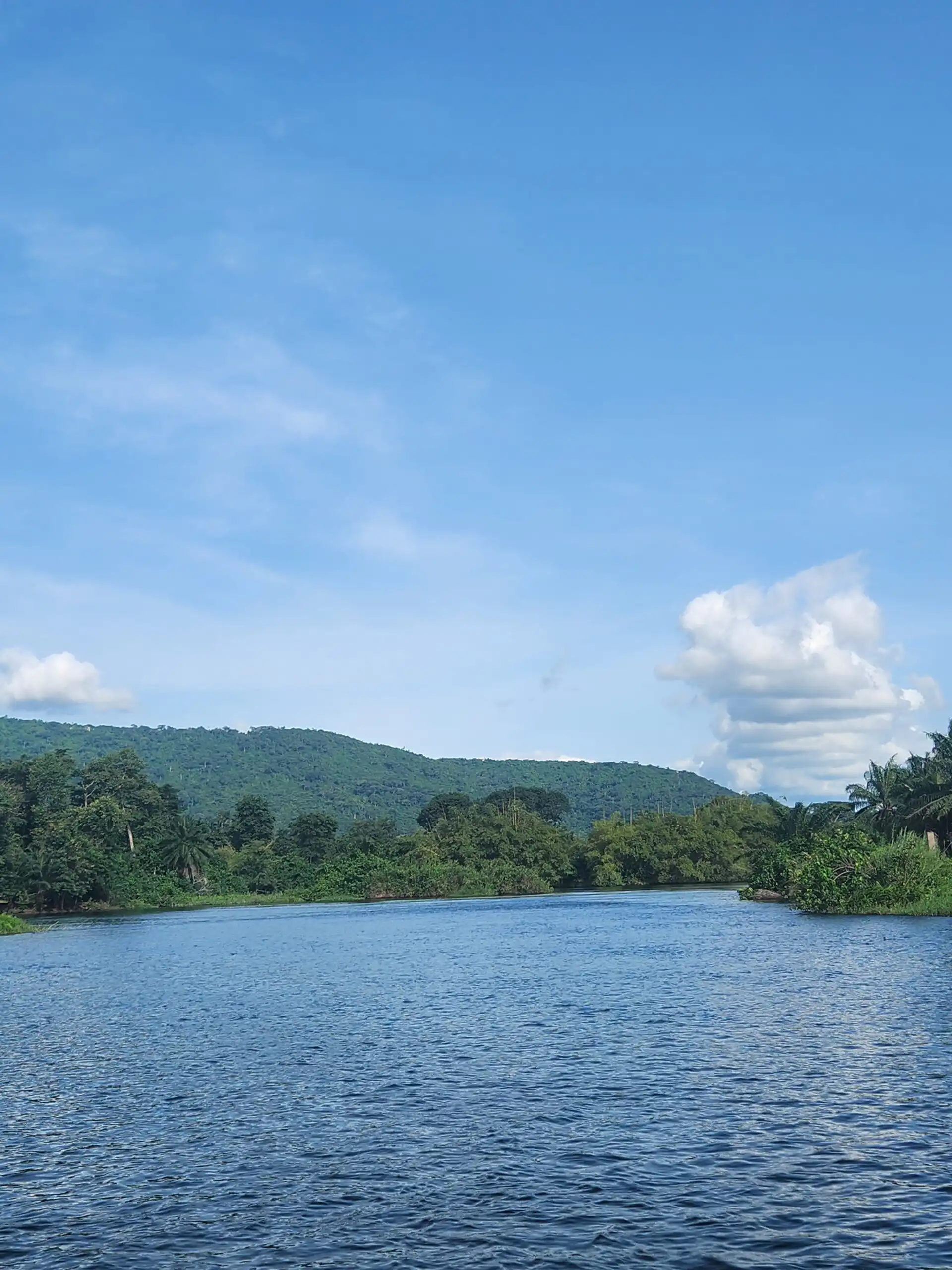 Scenic river and lush mountains