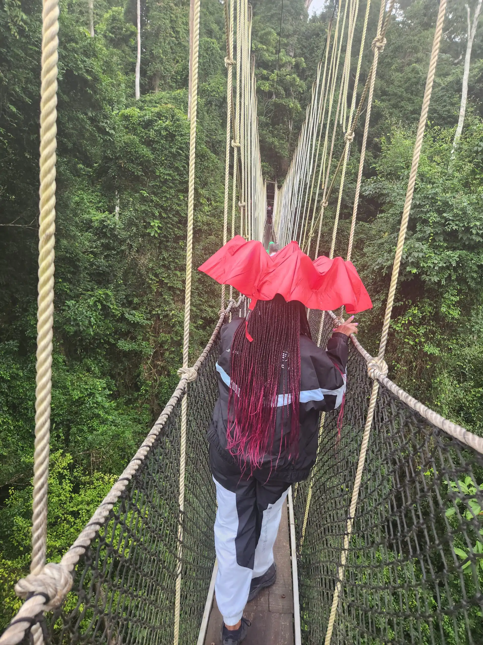 Person with umbrella on bridge